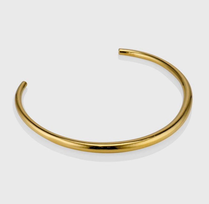 Choker Ras de Cou – Tour de Cou en Acier Inoxydable Doré ou Argenté : Dalia